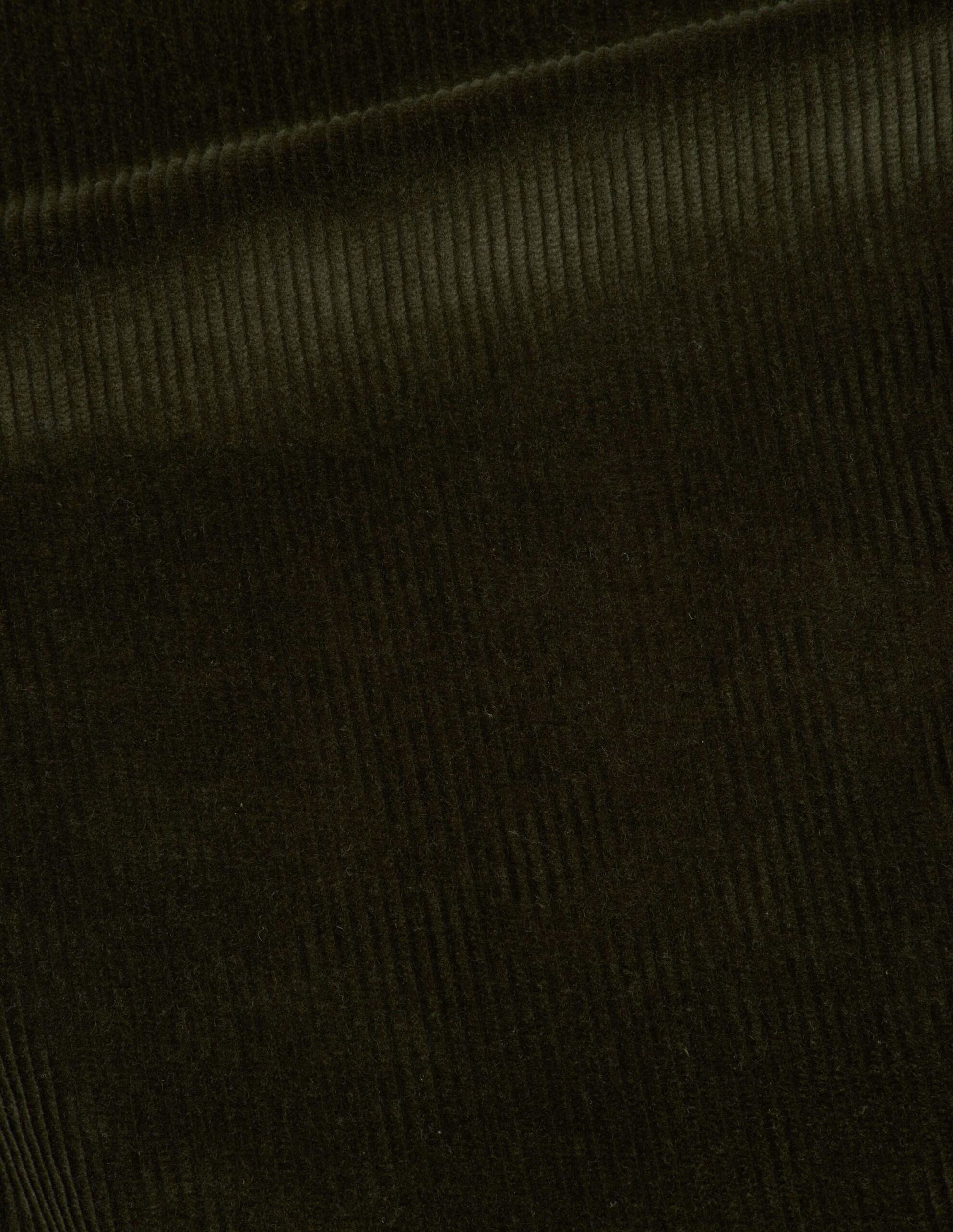 Dark green heavy corduroy trousers, fabric swatch.