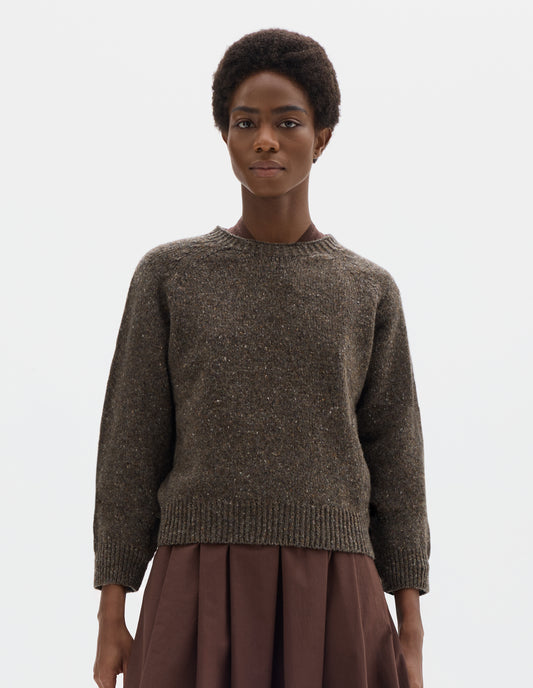 Cropped body image, front view of model wearing waist length brown crew neck wool jumper with fully fashioned bracelet length raglan sleeves, circular knitted body and wide rib detailing at neck, cuffs and hem. Styled over brown dress.