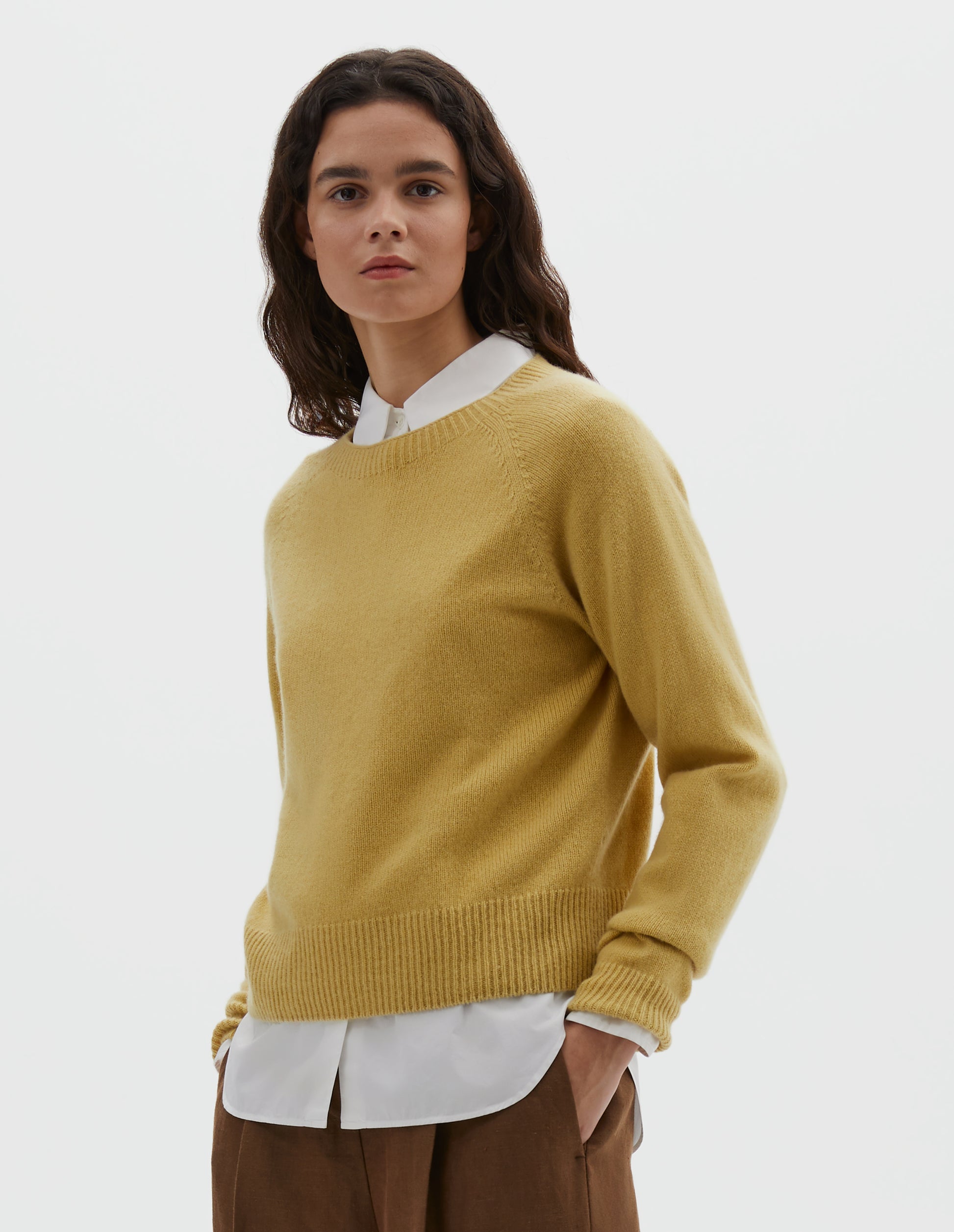 Cropped body image, front view of model wearing yellow merino cashmere long sleeve jumper, with raglan sleeve and contrast rib on neck, cuffs and hem. Styled over white cotton shirt, with light brown pleated trousers.