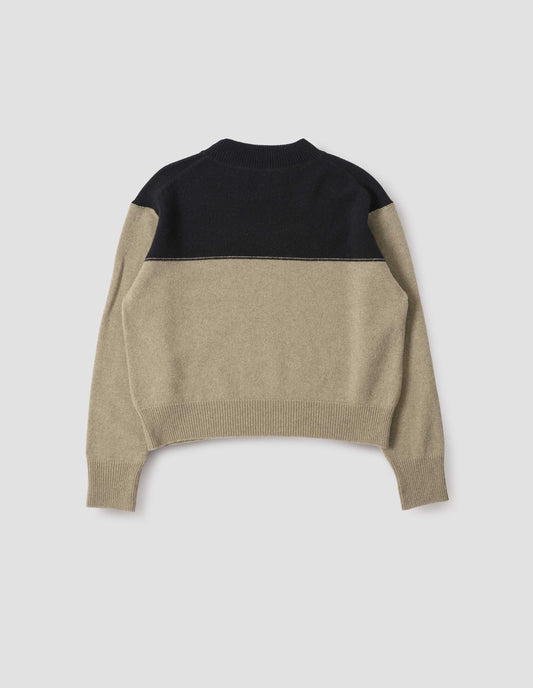Black and beige jumper with ribbed crew neck, cuffs and hem, back flat lay view.
