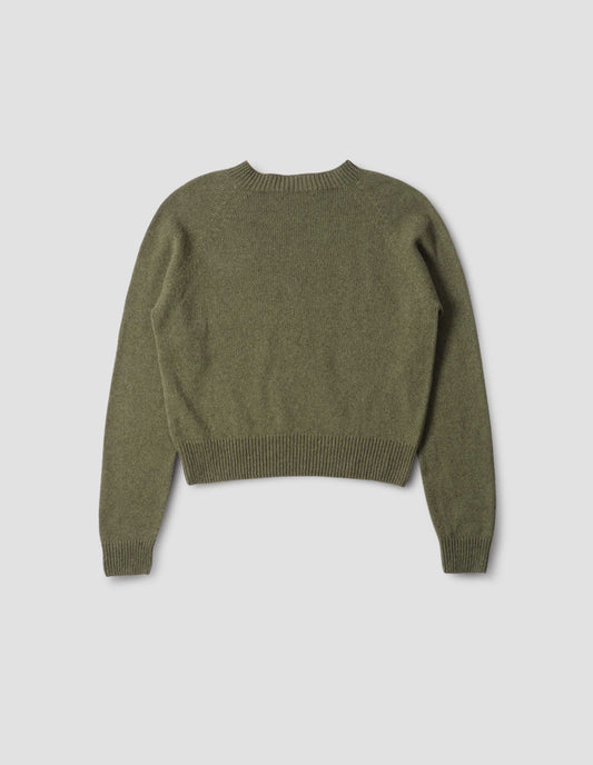 Green crew neck jumper with raglan sleeves, back flat lay view.