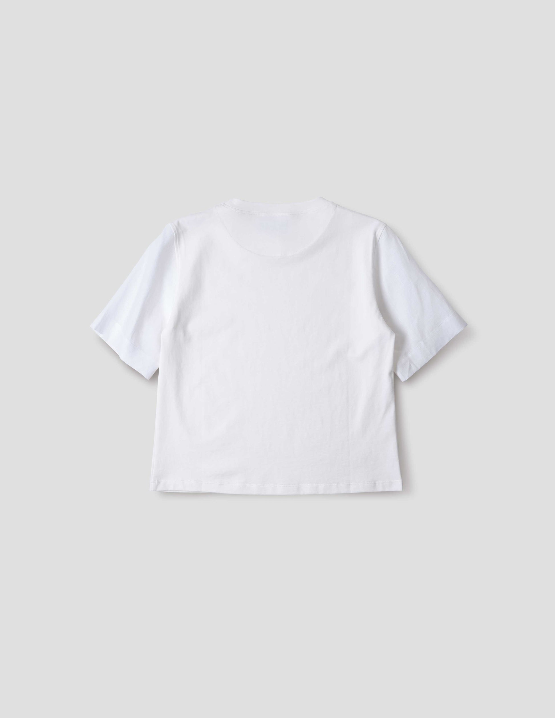 White regular cut t-shirt with contrast Irish shirting linen sleeve, back flat lay view.